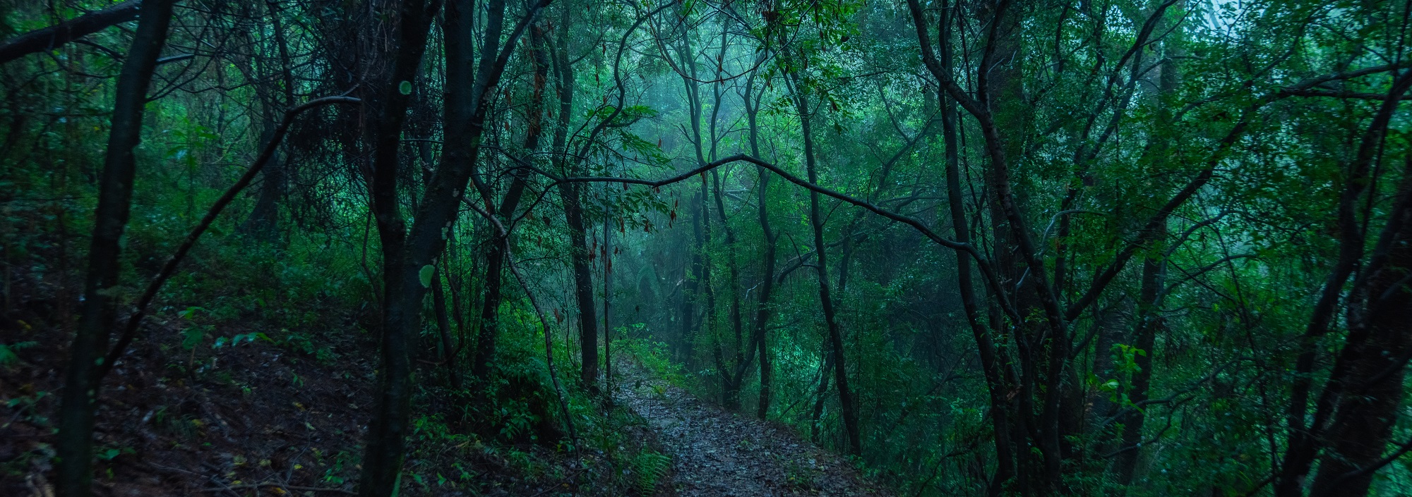 风景图片
